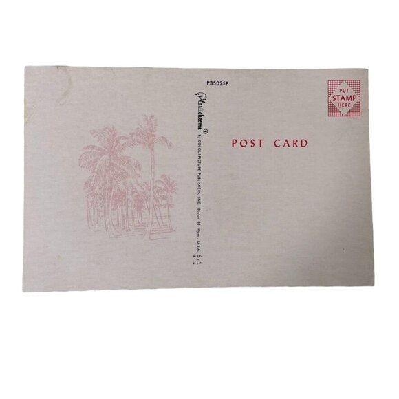 Vintage Postcard Greetings Florida Pictorial State Map Sightseeing u Sunshine St - Picture 3 of 4